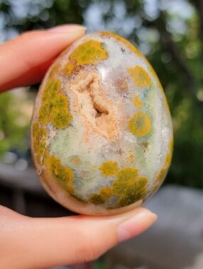 NEW 3" x 296g OCEAN JASPER EGG